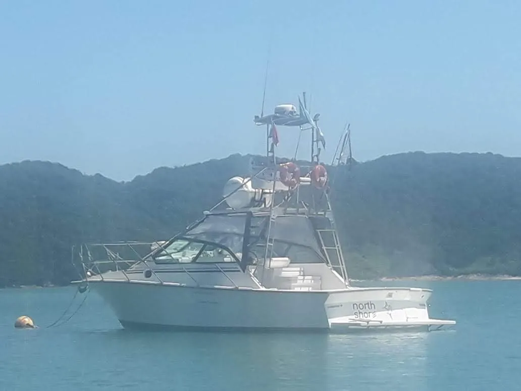 Lancha Mares 30 pés - Foto 4 mostrando detalhes da embarcação