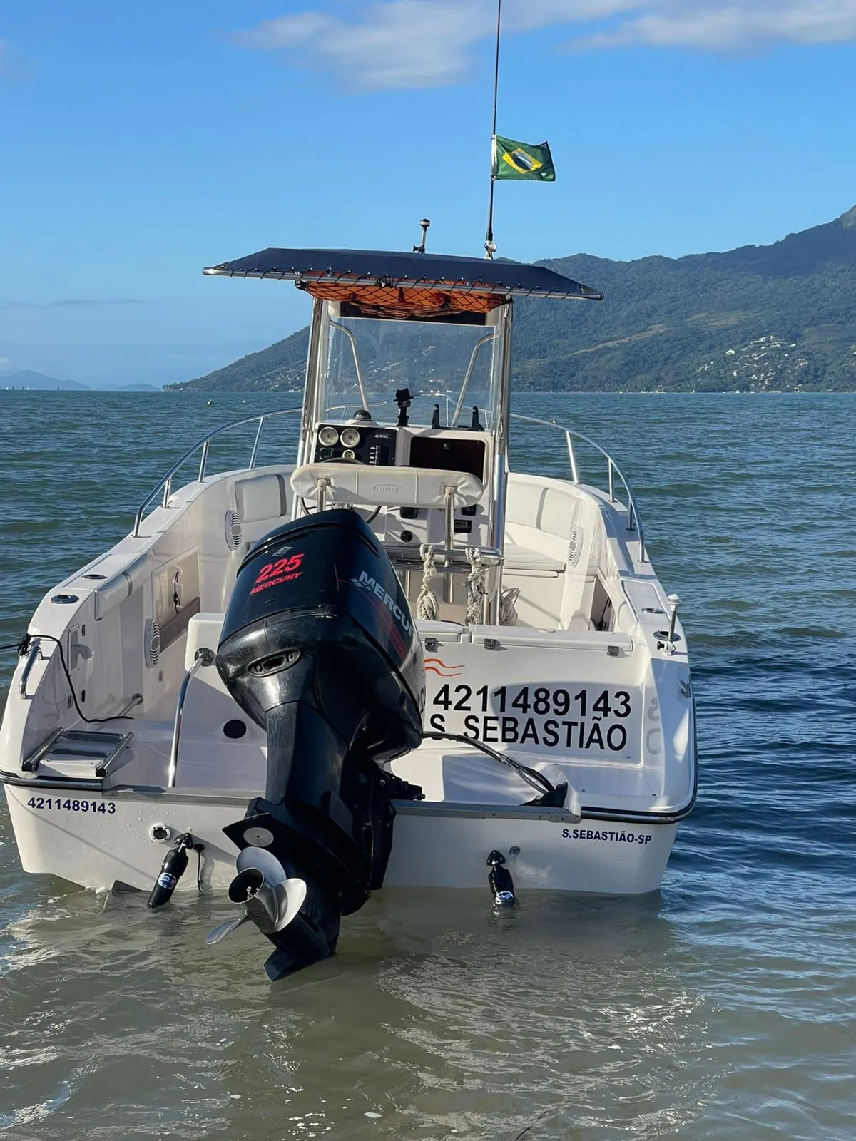 Lancha Fishing 26 pés - Foto 5 mostrando detalhes da embarcação
