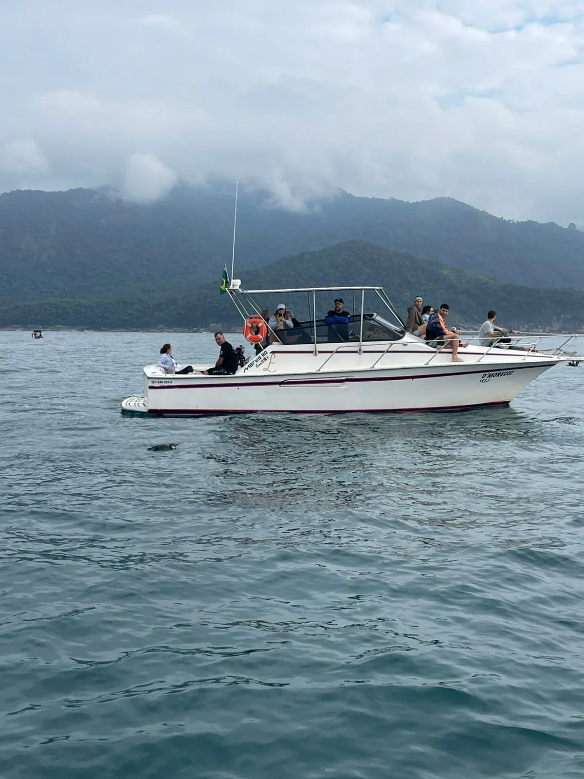 Lancha Mares 30 pés - Foto 4 mostrando detalhes da embarcação