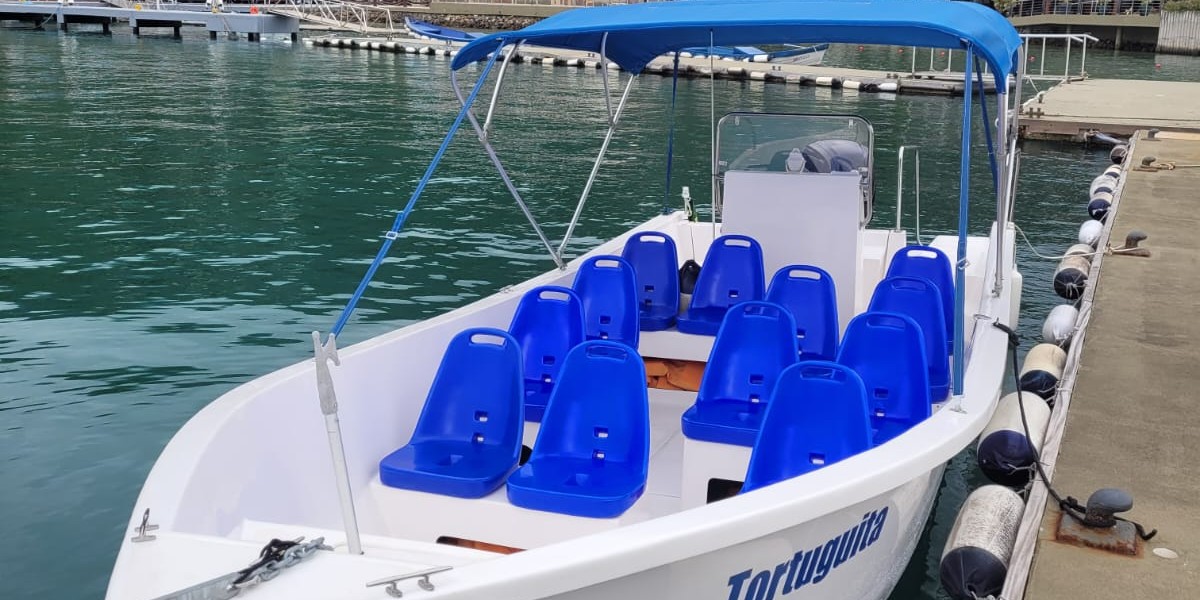 Passeio de Lancha Mais Boat em Caraguatatuba, Ubatuba, São Sebastião e Ilhabela